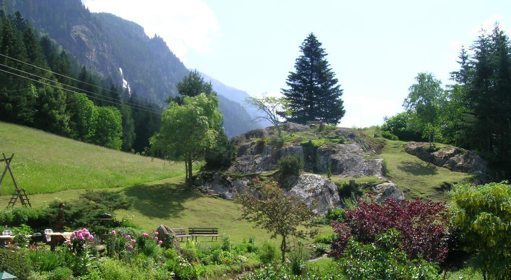 Apartments Haus Schoen - Preise Inclusive Pitztal Sommer Card 耶岑斯 外观 照片